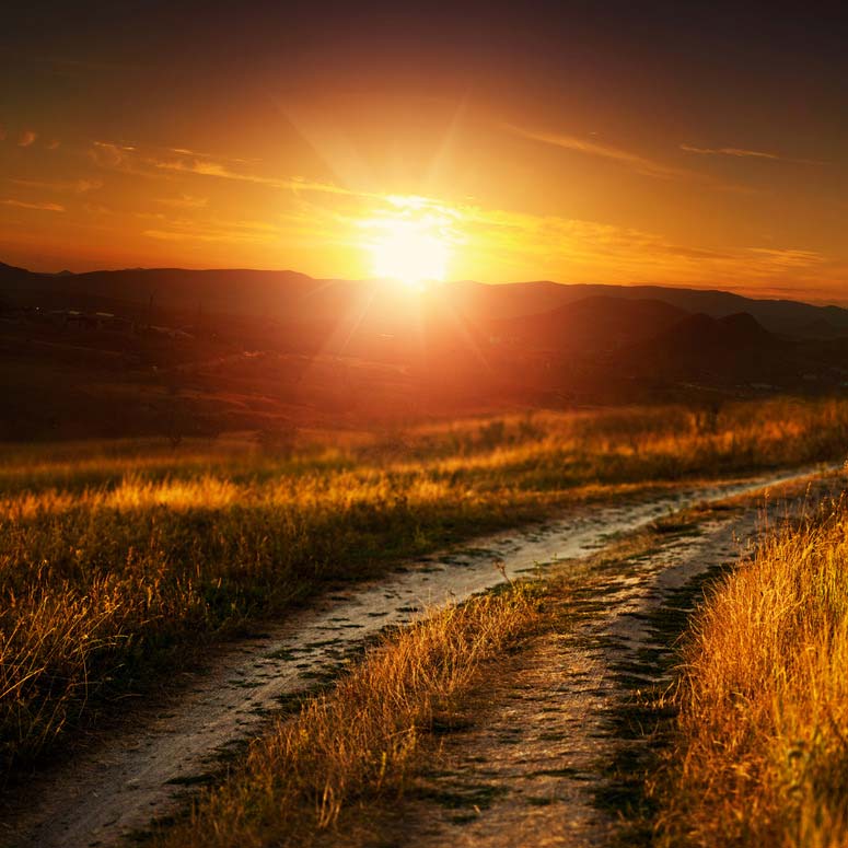 Természetjárás az egészséged érdekében Természetjárás az egészséged érdekében