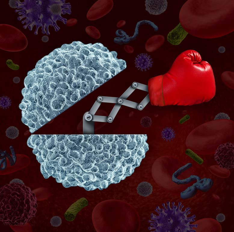 Az immunrendszer erősítése egészséges életmóddal