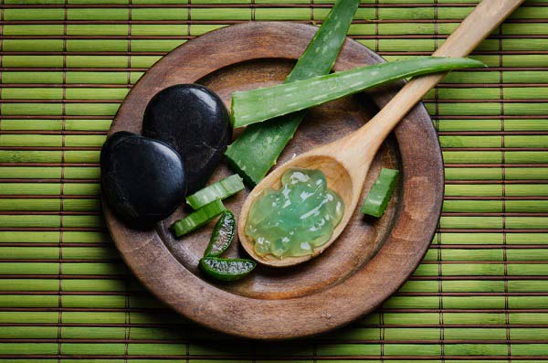 Aloe vera: a titkos csodaszer?