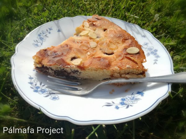 Recept: gyümölcsös, tejmentes clafoutis (francia pite)