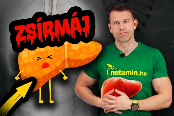 Zsírmáj: a leggyakoribb májbetegség - Videó a cikkben!