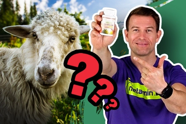 Ezért nem vegán minden D-vitamin - Videó a cikkben!