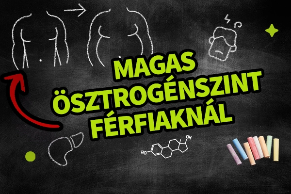 Ösztrogén dominancia férfiaknál - Videó a cikkben!