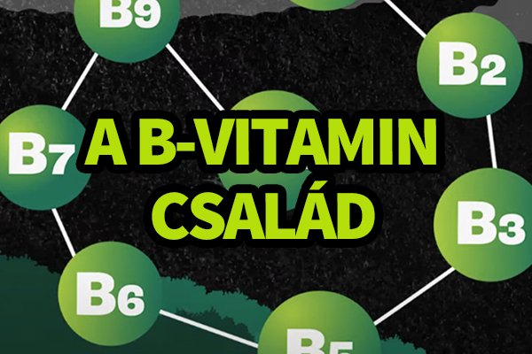 Ismerd meg a B-vitamin család tagjait - Videóval!